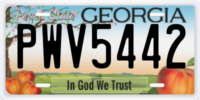 GA license plate PWV5442