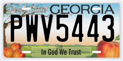 GA license plate PWV5443