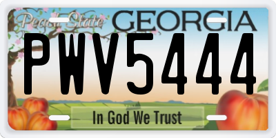 GA license plate PWV5444