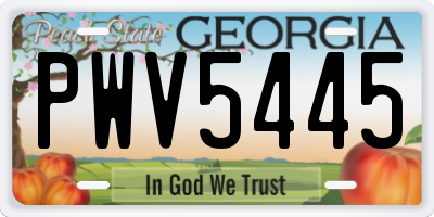 GA license plate PWV5445