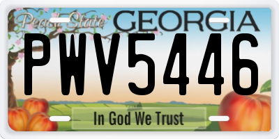 GA license plate PWV5446