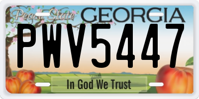 GA license plate PWV5447