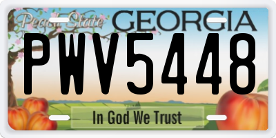 GA license plate PWV5448