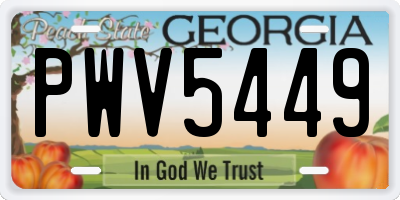 GA license plate PWV5449