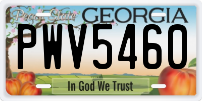GA license plate PWV5460