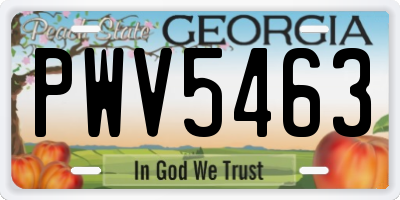 GA license plate PWV5463