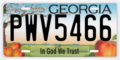 GA license plate PWV5466