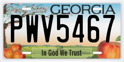 GA license plate PWV5467