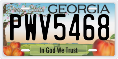 GA license plate PWV5468