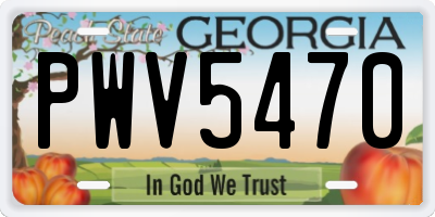 GA license plate PWV5470