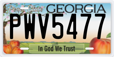 GA license plate PWV5477