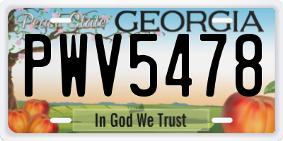 GA license plate PWV5478