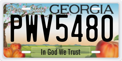 GA license plate PWV5480