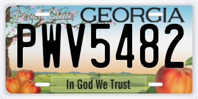 GA license plate PWV5482