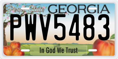 GA license plate PWV5483