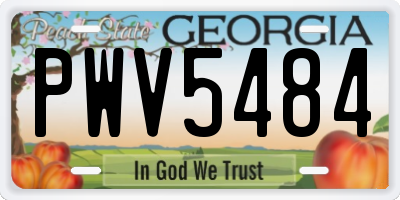 GA license plate PWV5484