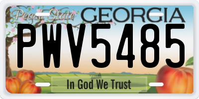 GA license plate PWV5485