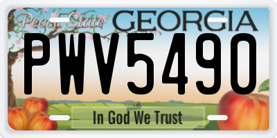 GA license plate PWV5490