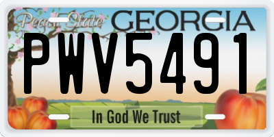 GA license plate PWV5491