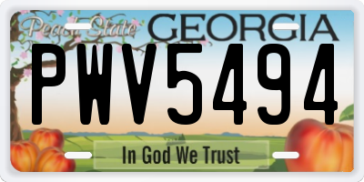 GA license plate PWV5494