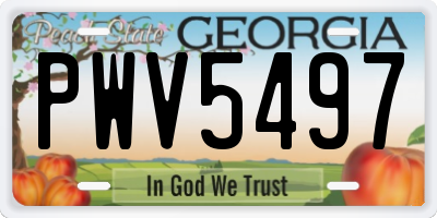 GA license plate PWV5497