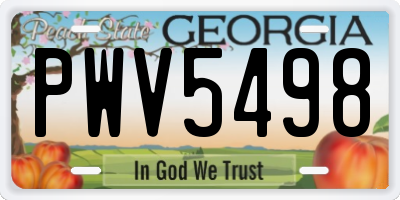 GA license plate PWV5498