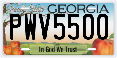 GA license plate PWV5500