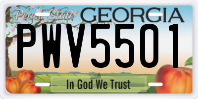 GA license plate PWV5501