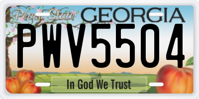 GA license plate PWV5504
