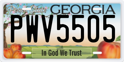 GA license plate PWV5505
