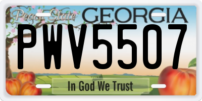 GA license plate PWV5507