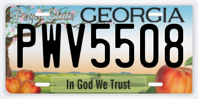 GA license plate PWV5508