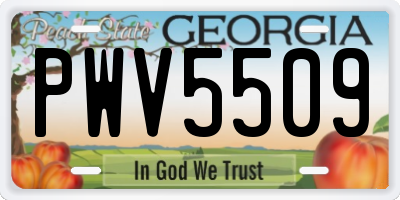 GA license plate PWV5509