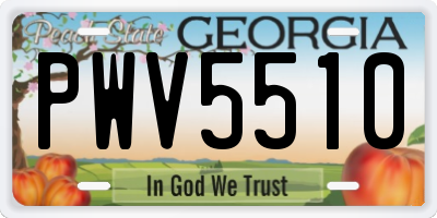 GA license plate PWV5510