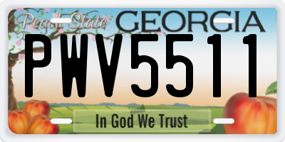 GA license plate PWV5511