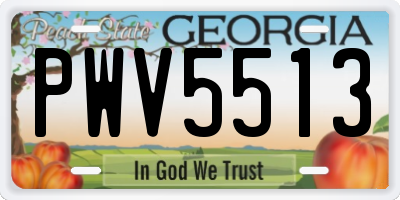 GA license plate PWV5513