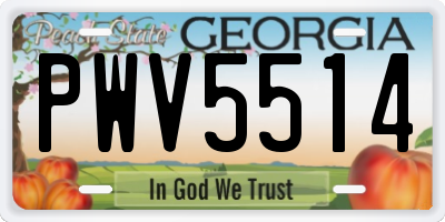 GA license plate PWV5514