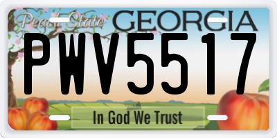 GA license plate PWV5517