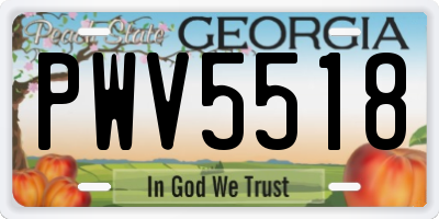 GA license plate PWV5518