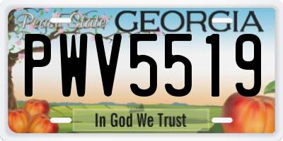 GA license plate PWV5519
