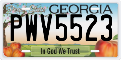 GA license plate PWV5523