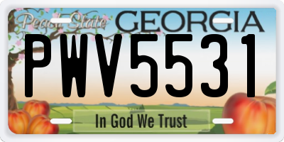 GA license plate PWV5531