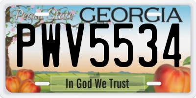 GA license plate PWV5534