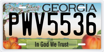 GA license plate PWV5536