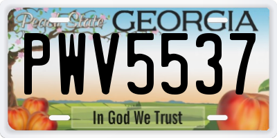 GA license plate PWV5537