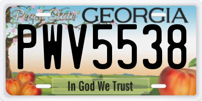 GA license plate PWV5538
