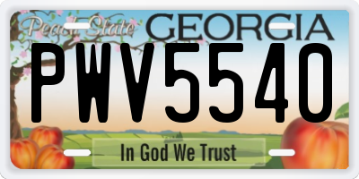 GA license plate PWV5540