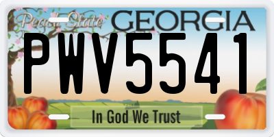 GA license plate PWV5541
