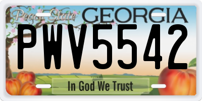 GA license plate PWV5542