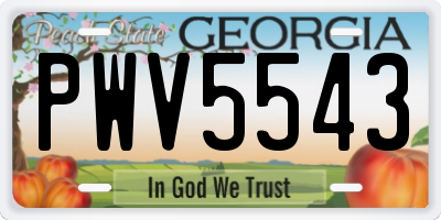 GA license plate PWV5543